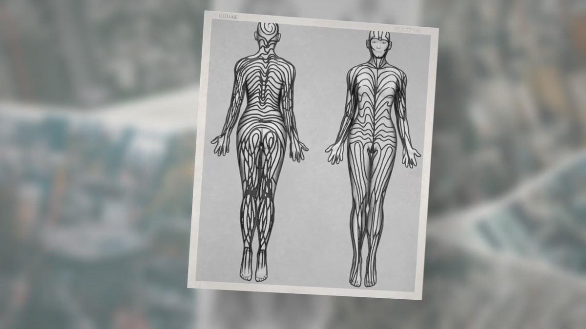 'Video thumbnail for Humans Have Stripes'