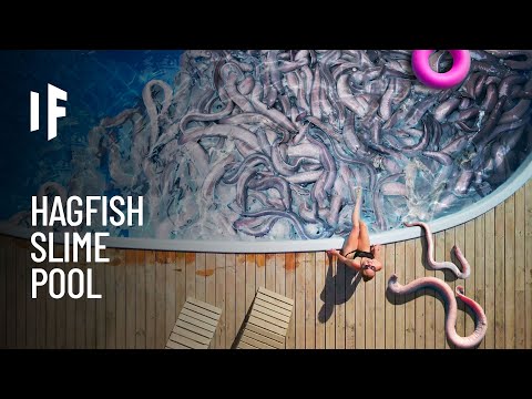 What If You Fell Into a Pool of Hagfish?