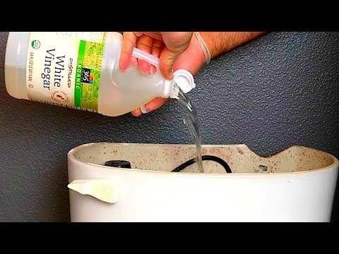 Put Vinegar Into a Toilet, and Watch What Happens