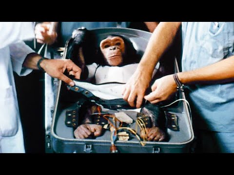 NASA's First Chimp in Space