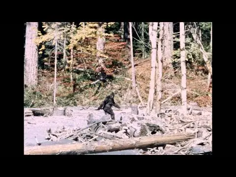Bigfoot - Patterson/Gimlin Film | Stabilized | 10/20/1967