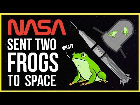 NASA Sent Two Frogs to Space in 1970