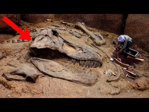 Most AMAZING Fossil Discoveries Ever!