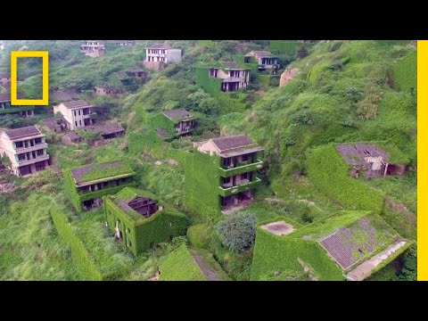Plants Are Taking Over This Abandoned Fishing Village | National Geographic