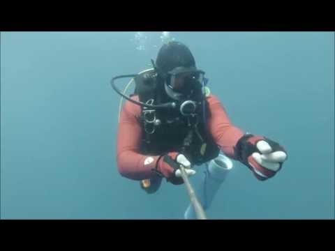 Red color fades with depth in water - Diving with GoPro