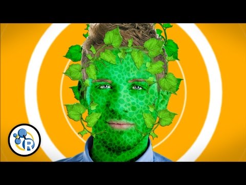 What If Humans Could Photosynthesize?