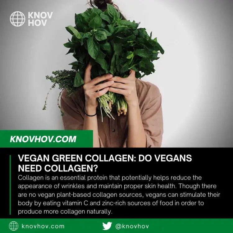 Vegan Green Collagen: Do Vegans Need Collagen?