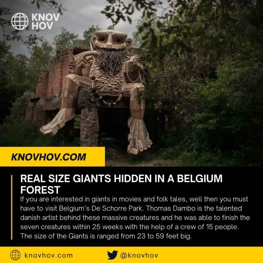 Real Size Giants Hidden in a Belgium Forest