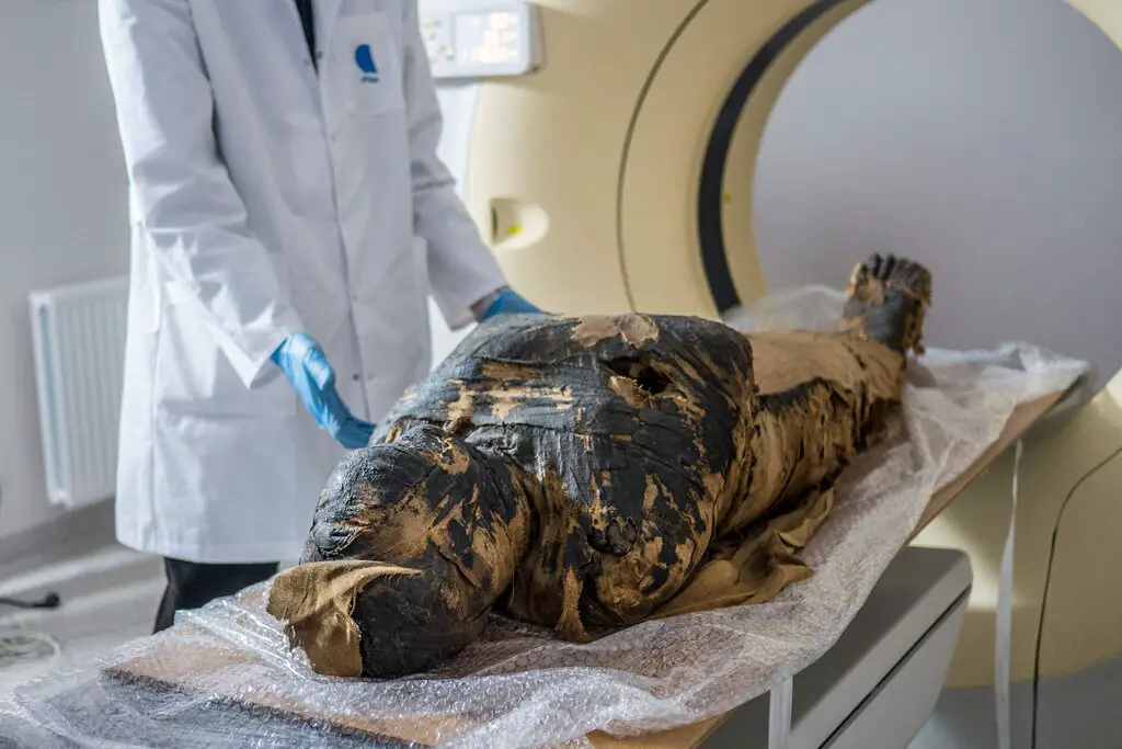 Discovery of the World’s First Pregnant Egyptian Mummy Shocked the Scientists