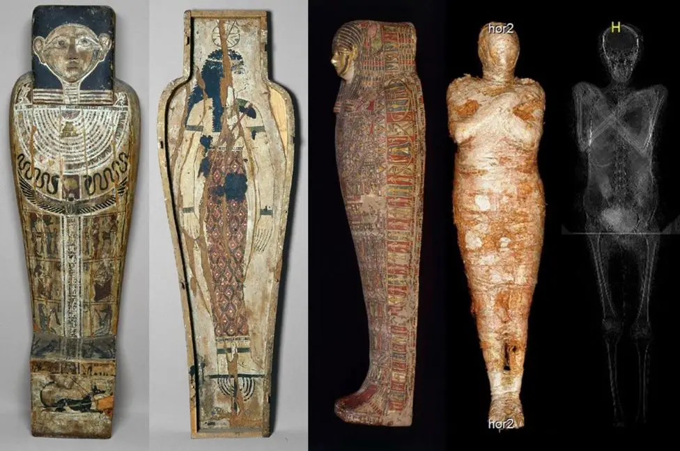 Body scans revealed a tiny foot in the mummy's pelvic section, confirming the mummy was a pregnant lady. It was the first time in the history of mummy research that a pregnant mummy was discovered and it is considered as the World’s First Pregnant Egyptian Mummy.