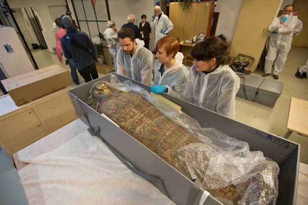 Discovery Of The World’s First Pregnant Egyptian Mummy Shocked The ...