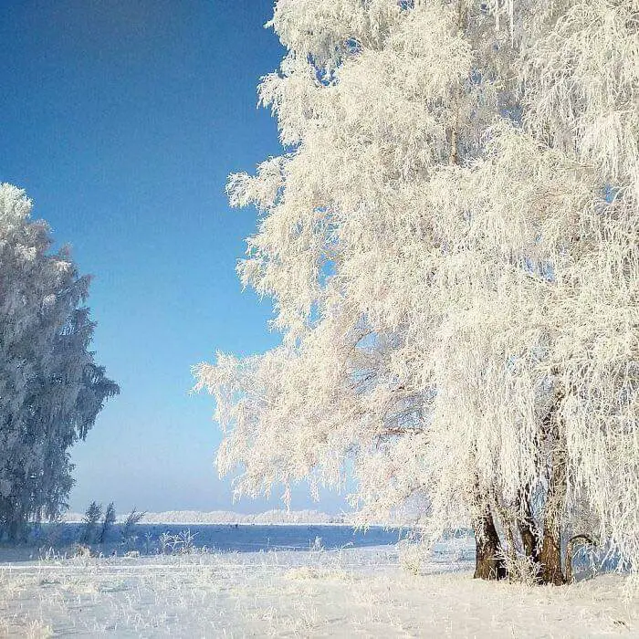 10 Pictures That show How Insanely Cold It is in Russia where we can find the Coldest City in the World