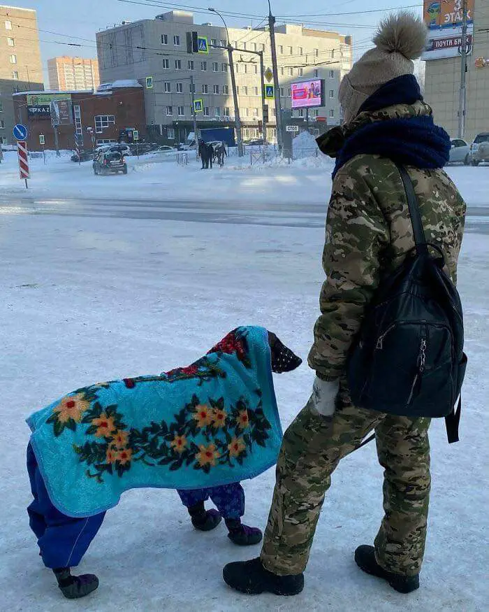 10 Pictures That show How Insanely Cold It is in Russia where we can find the Coldest City in the World