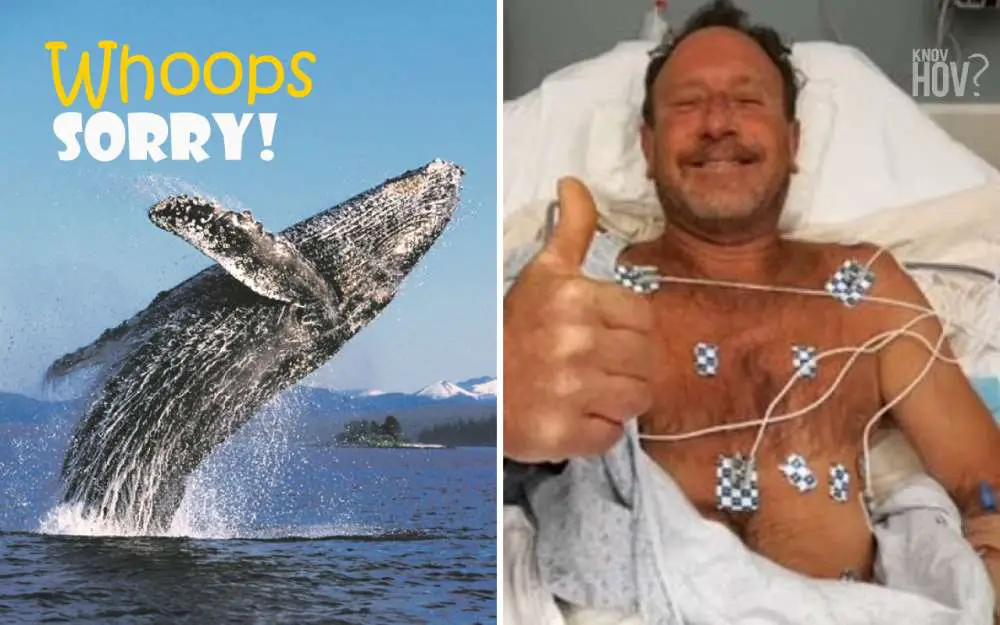 A lobster diver survives after being swallowed by a humpback whale: 'I was completely inside'