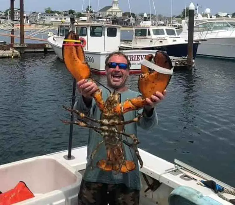 A lobster diver survives after being swallowed by a humpback whale: 'I was completely inside'