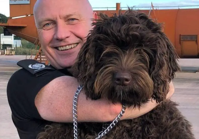 Digby, a 'Defusing' Dog, Saves the Life of a Lady who was Attempting Suicide on a Bridge