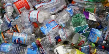 Scientists Convert Plastic Waste Bottles into Vanilla Flavoring Using Genetically Modified Bacteria