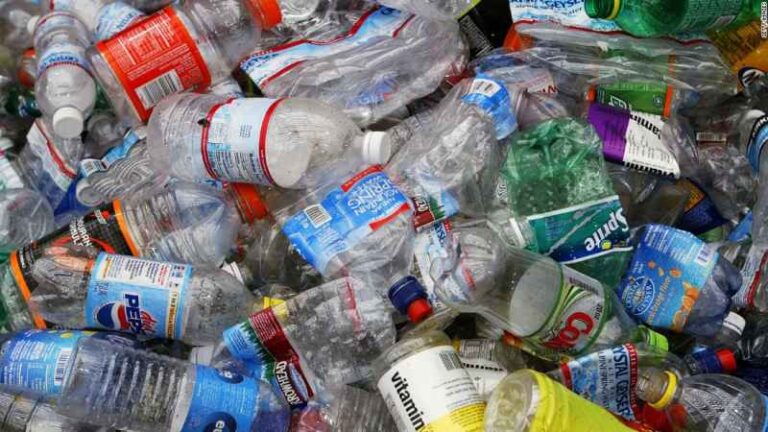 Scientists Convert Plastic Waste Bottles into Vanilla Flavoring Using Genetically Modified Bacteria