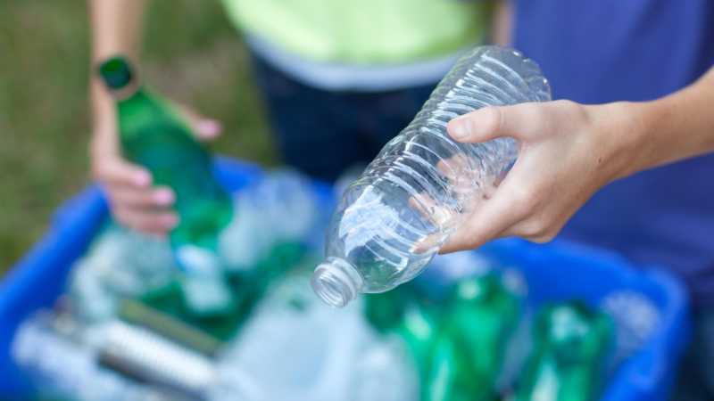 Scientists Convert Plastic Waste Bottles into Vanilla Flavoring Using Genetically Modified Bacteria