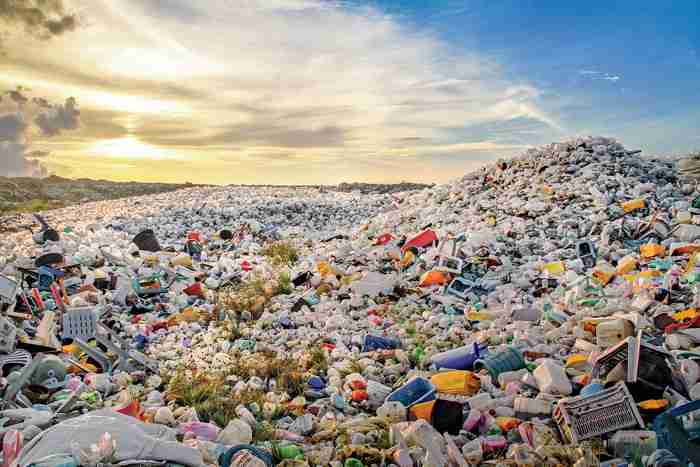 Scientists Convert Plastic Waste Bottles into Vanilla Flavoring Using Genetically Modified Bacteria