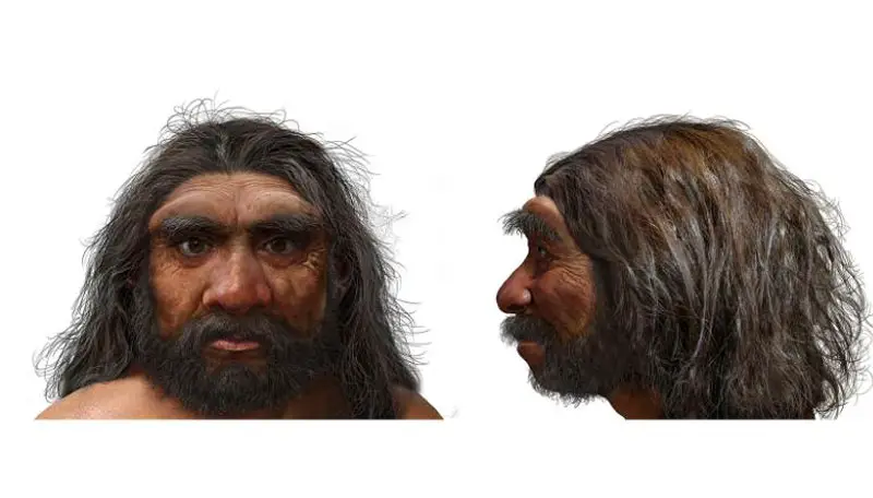 The Dragon Man, Homo Longi: the Most recent addition to the Human Family Tree