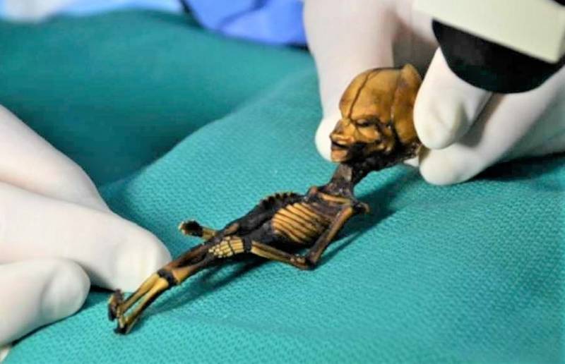 The Tragic Reality of 6-inch-long 'Alien' Skeleton Discovered in Atacama, Chile