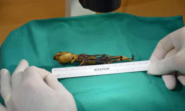 The Tragic Reality of 6-inch-long 'Alien' Skeleton Discovered in Atacama, Chile