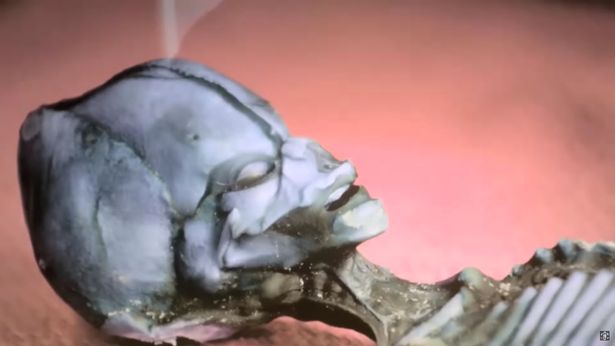 The Tragic Reality of 6-inch-long 'Alien' Skeleton Discovered in Atacama, Chile