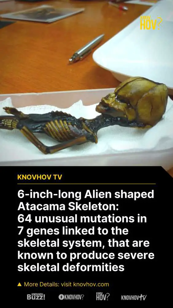 The Tragic Reality of 6-inch-long 'Alien' Skeleton Discovered in Atacama, Chile