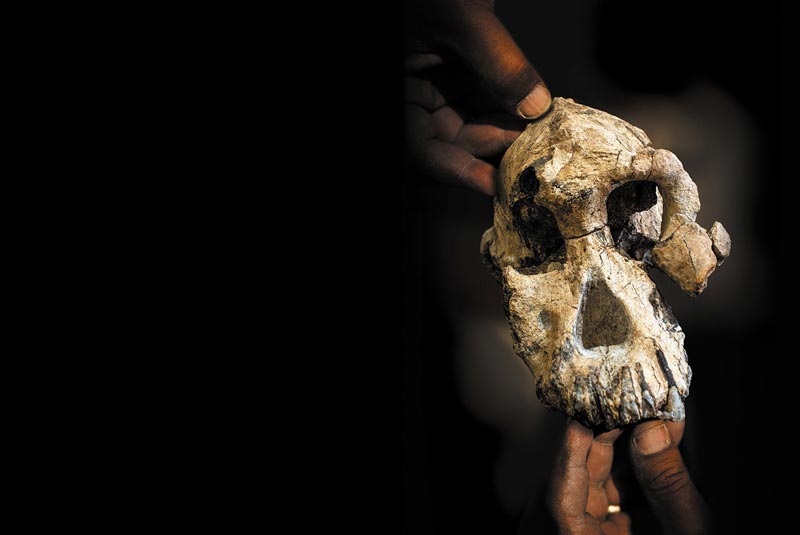 Who is the earliest known human ancestor