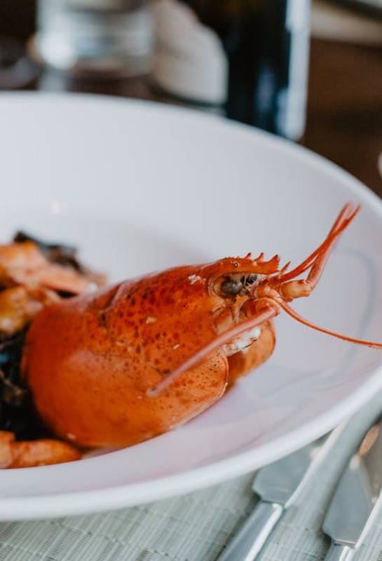 Boiling Lobsters Alive will be Prohibited under new UK government legislation 