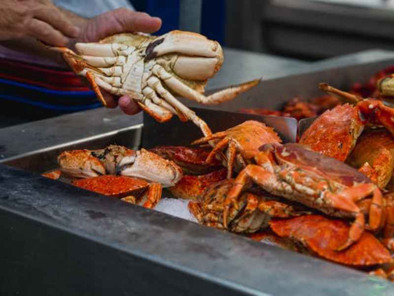 Boiling Lobsters Alive will be Prohibited under new UK government legislation 