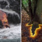 22 Scientific Photos that are Hard to believe but are indeed Real