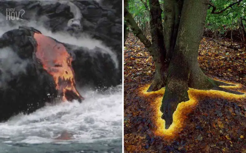 22 Scientific Photos that are Hard to believe but are indeed Real