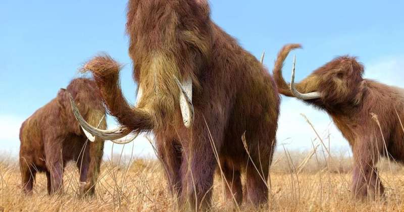 A Firm has Raised $15 million to Bring back Woolly Mammoths from Extinction