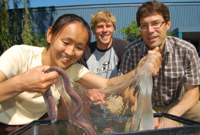 The Slime releasing by Hagfish in a threat, Expands by 10,000 times in less than half a second