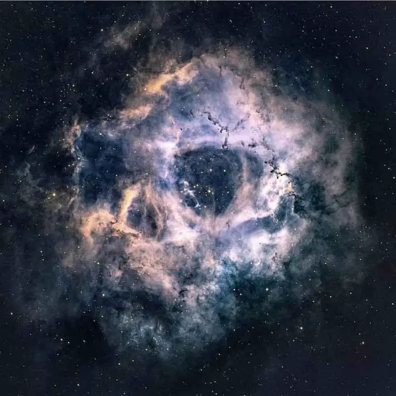 Rosette Nebula Skull - A Human Skull-shaped Nebula with a Radius of 65 light-years