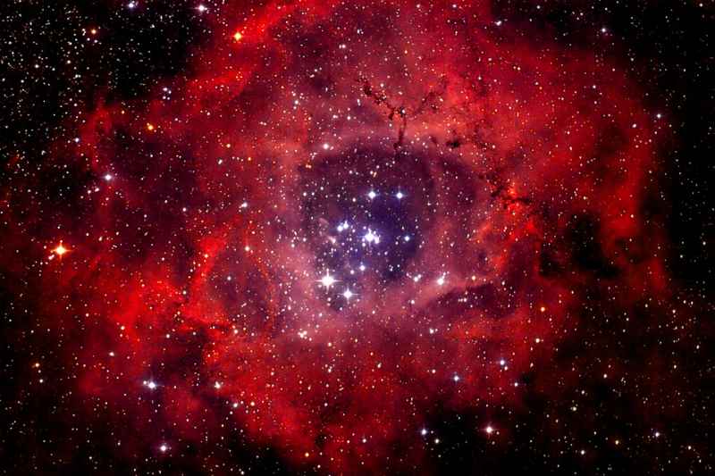 Rosette Nebula Skull 