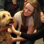A “Puppy Room” has been Set up at a Canadian University to Help Stressed Students Relax