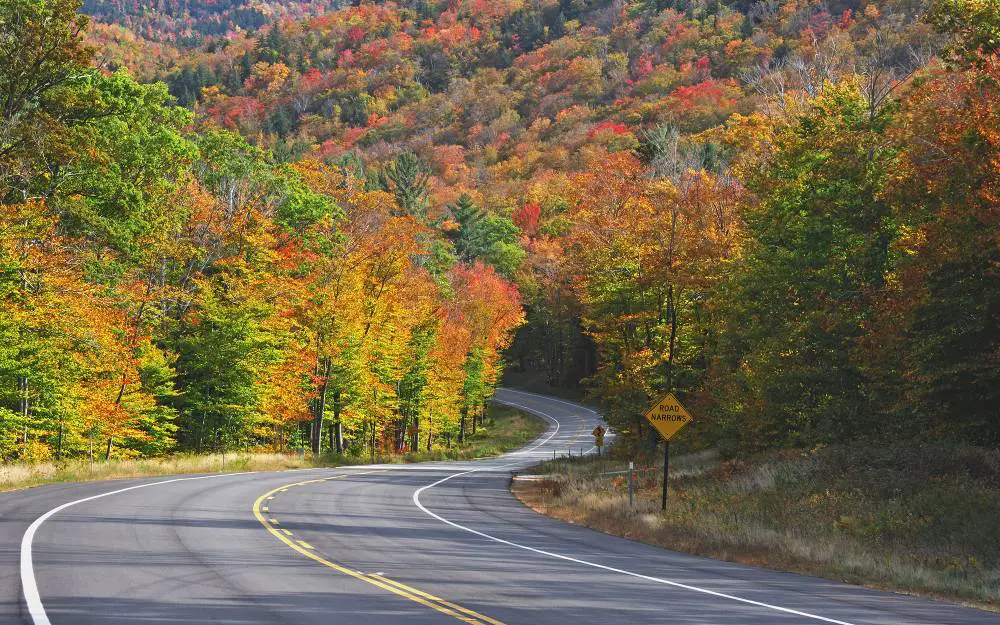 25 Most Amazing Road Trips Across the USA