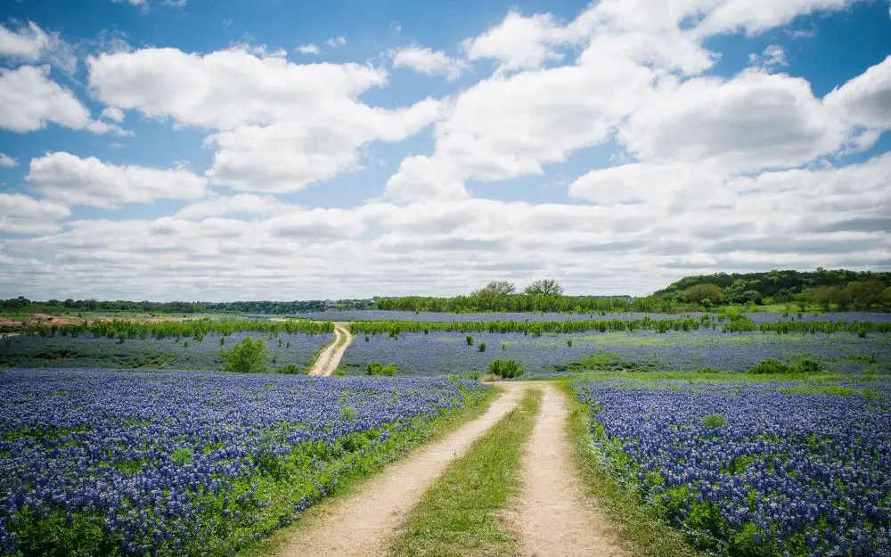 25 Most Amazing Road Trips Across the USA