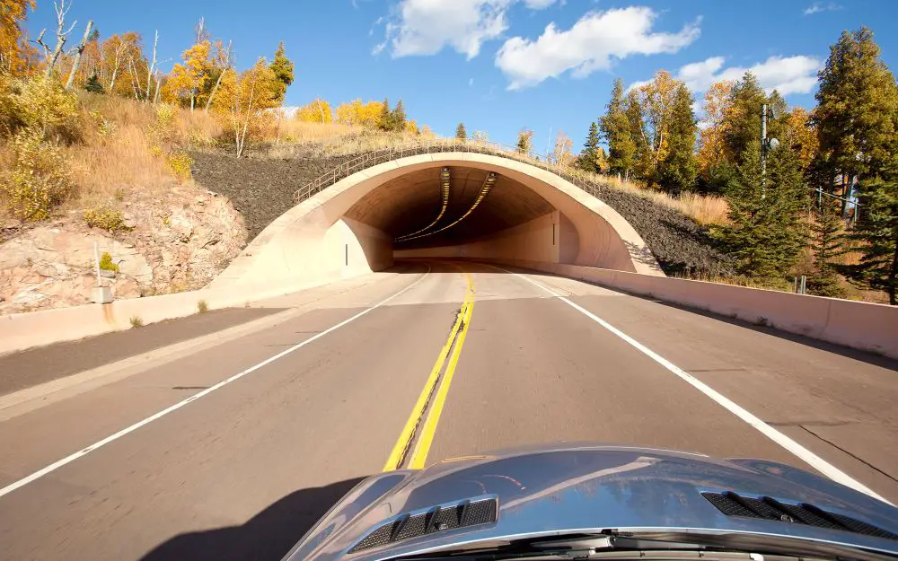 25 Most Amazing Road Trips Across the USA