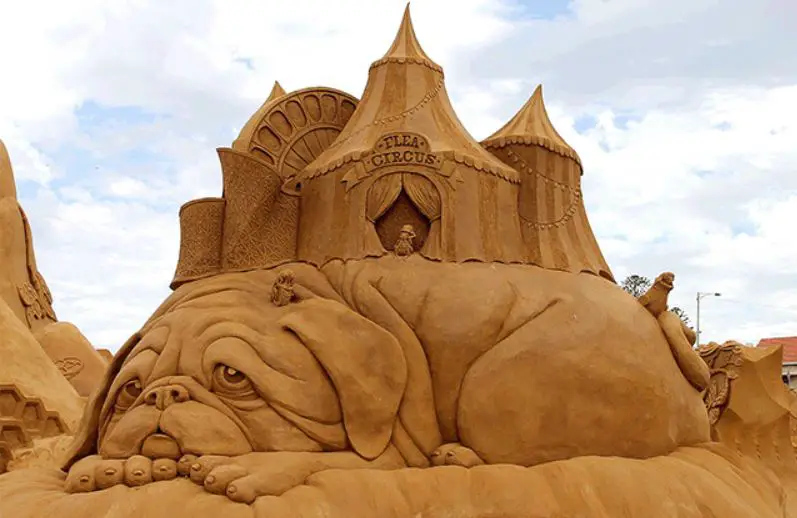 Amazing Sand Sculptures Spotted in Sand Castle Contests held across the World