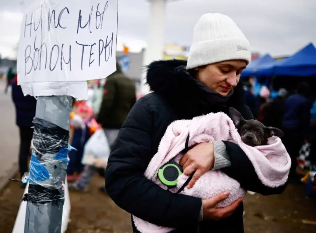 Photos from the Ukraine War that will Break Your Heart 