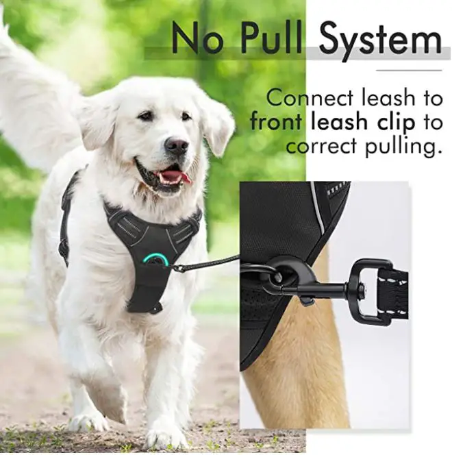 Helpful Products For Dog Owners Who Want to Make their Pup's Life Easier