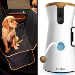 20 Helpful Products for Dog Owners that will Make Their Pup’s Life Easier