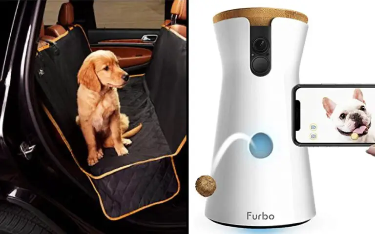 20 Helpful Products for Dog Owners that will Make Their Pup’s Life Easier