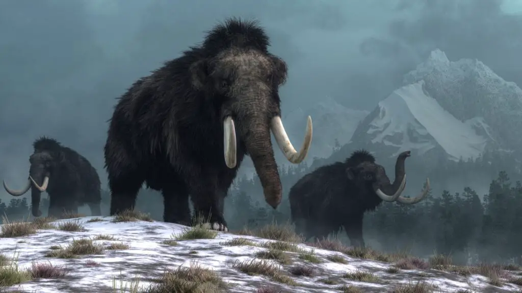 A Firm has Raised $15 million to Bring back Woolly Mammoths from Extinction