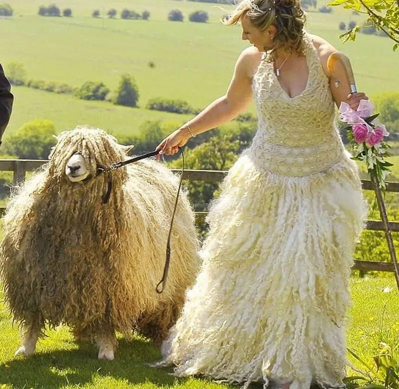 Prepare to be amazed by the 20 most weird and outrageous wedding dresses ever! From unconventional designs to bold statements, witness the extraordinary side of bridal fashion that pushes boundaries. #WeirdWeddingDresses #OutrageousBridalFashion #UnconventionalBrides