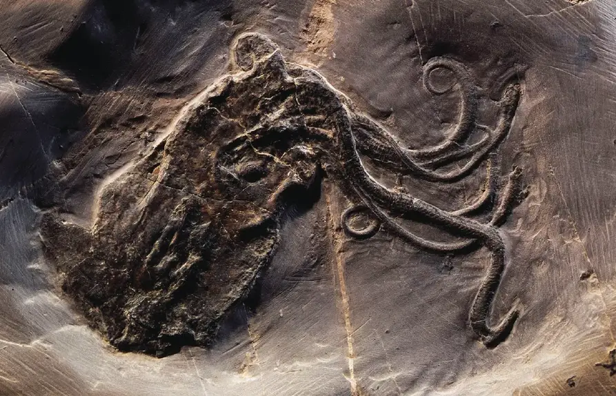Discover the 10 strangest octopus abilities, from 3 hearts and blue blood to venom and regeneration. Explore fascinating marine biology facts about this ocean marvel.